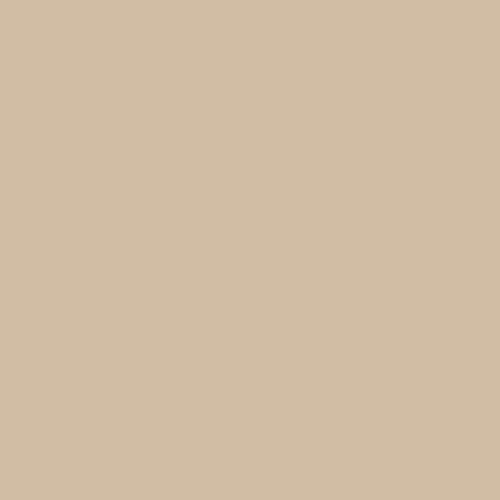 HC-48 Bradstreet Beige - Paint Color